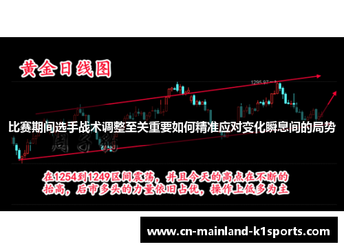 比赛期间选手战术调整至关重要如何精准应对变化瞬息间的局势