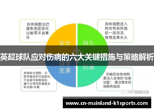 英超球队应对伤病的六大关键措施与策略解析