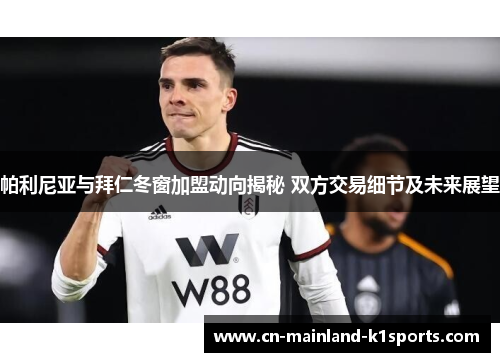 帕利尼亚与拜仁冬窗加盟动向揭秘 双方交易细节及未来展望