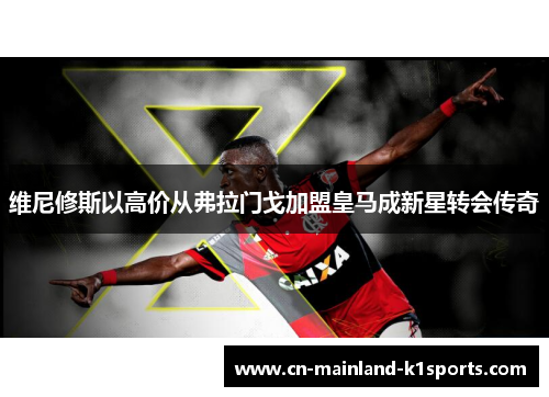 维尼修斯以高价从弗拉门戈加盟皇马成新星转会传奇