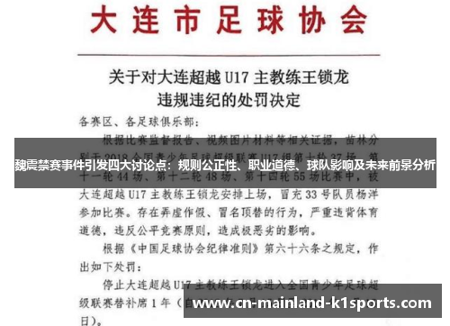 魏震禁赛事件引发四大讨论点：规则公正性、职业道德、球队影响及未来前景分析