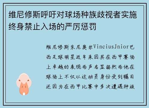 维尼修斯呼吁对球场种族歧视者实施终身禁止入场的严厉惩罚